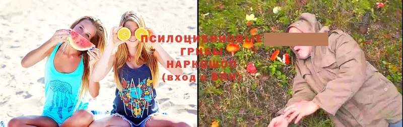 кракен маркетплейс  Белозерск  Псилоцибиновые грибы Magic Shrooms 